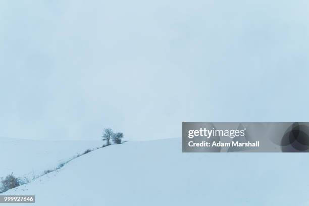 one day of snow - snow day stock pictures, royalty-free photos & images