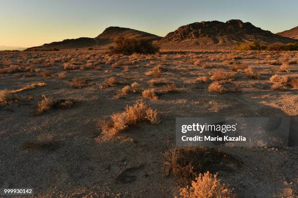 pahrump nevada mesquite road - mesquite nevada stock pictures, royalty-free photos & images