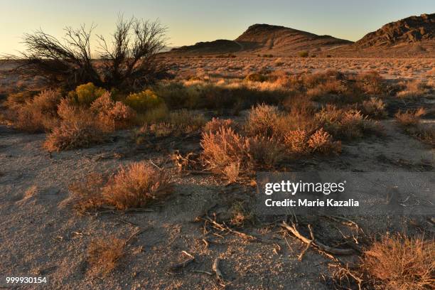 pahrump nevada mesquite road - mesquite nevada stockfoto's en -beelden