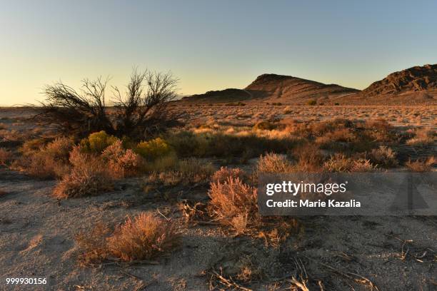 pahrump nevada mesquite road - mesquite nevada stock pictures, royalty-free photos & images