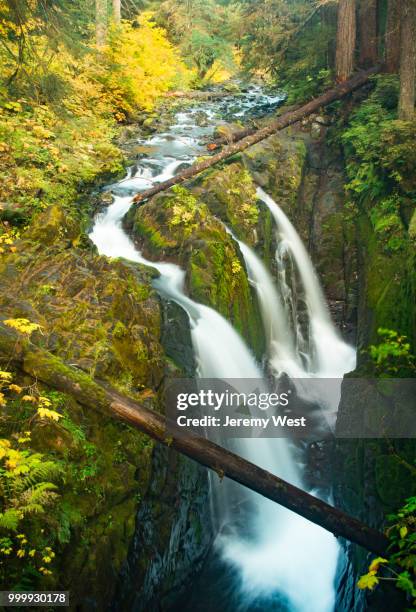 sol duc sunset - duc stock pictures, royalty-free photos & images