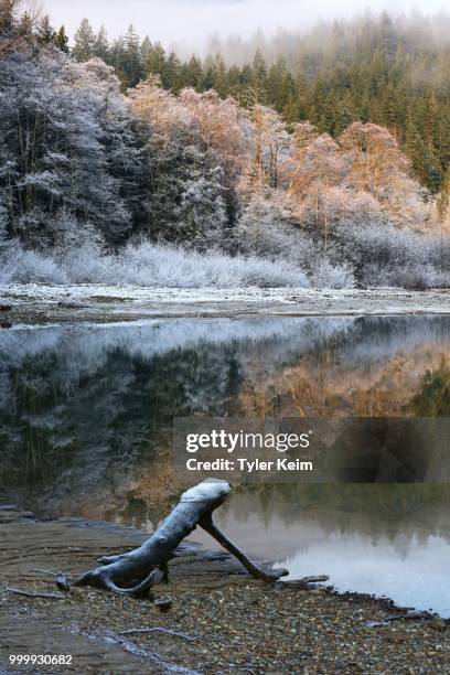 morning frost in the mountains. - tyler frost imagens e fotografias de stock