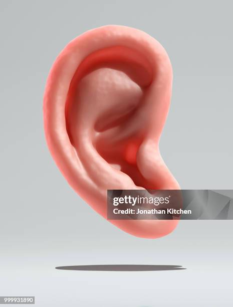 a human ear on a white background - sound vibration ear stock pictures, royalty-free photos & images