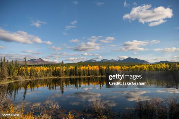 haines junction,canada - graham stock pictures, royalty-free photos & images