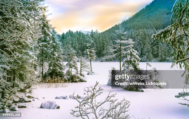 winterhintersee (berchtesgadener land) - lichtspiele stock pictures, royalty-free photos & images