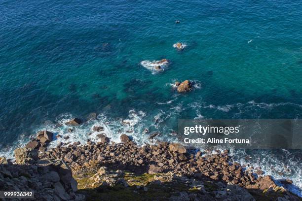 cabo da roca - portugal - roca 個照片及圖片檔