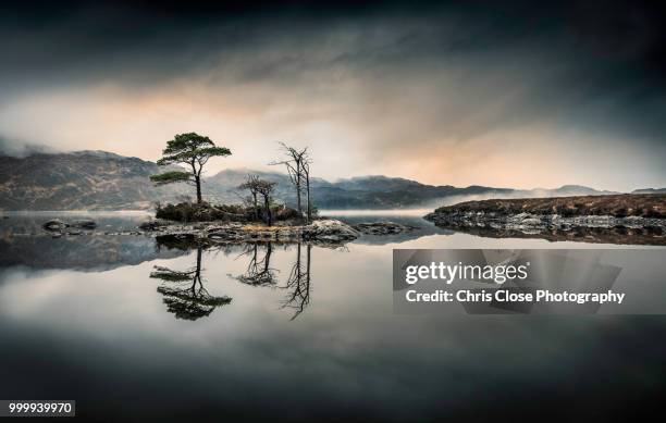 scenic landscape, loch assynt, scotland - loch assynt stockfoto's en -beelden