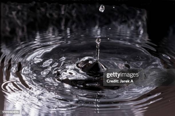 water i - south georgia and the south sandwich islands stock pictures, royalty-free photos & images