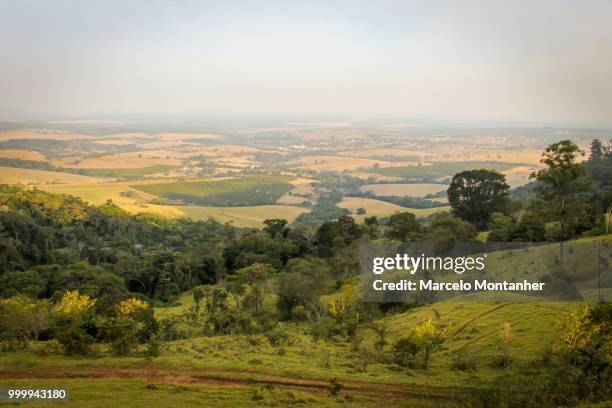 botucatu, brazil - botucatu stock-fotos und bilder