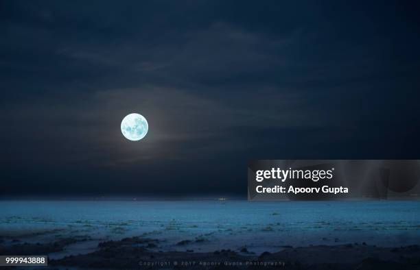 full moon night at rann of kutch - rann of kutch stock pictures, royalty-free photos & images