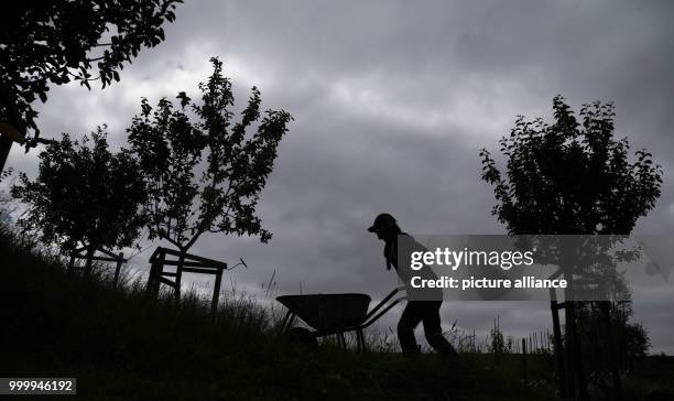 May 2018, Emden, Germany: An employee can be seen pushing a wheelbarrow at the Eco Factory Emden, where the cultivation of crop plants in a salty...