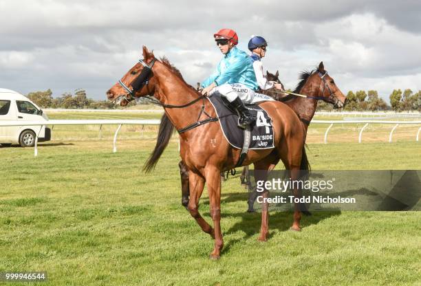 What's Up ridden by Dean Holland returns after the Horsham Doors & Glass Maiden Plate at Murtoa Racecourse on July 16, 2018 in Murtoa, Australia.