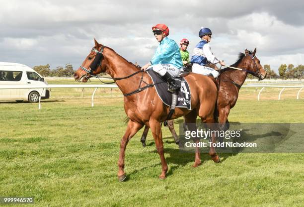 What's Up ridden by Dean Holland returns after the Horsham Doors & Glass Maiden Plate at Murtoa Racecourse on July 16, 2018 in Murtoa, Australia.