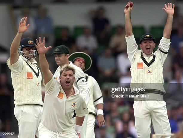 Shane Warne and Ricky Ponting of Australia appeal with team mates unsuccessfully for a catch off Stephen Fleming of New Zealand during day one of the...