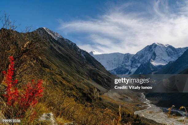 view on mountain belukha in altai region near board of russia and kazakhstan - region stock pictures, royalty-free photos & images