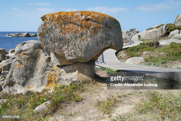o grove, galicia, spain - ludwig stock pictures, royalty-free photos & images