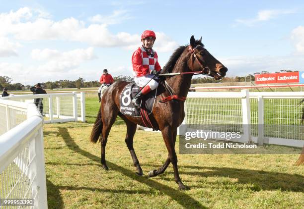 Kansas City ridden by Dean Yendall returns after the Murtoa Big Weekend Maiden Plate at Murtoa Racecourse on July 16, 2018 in Murtoa, Australia.