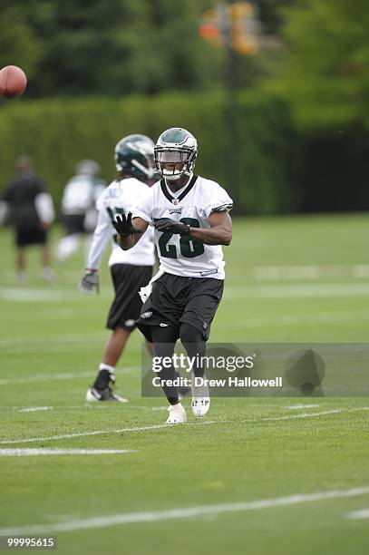 Cornerback Marlin Jackson of the Philadelphia Eagles catches a pass during practice on May 19, 2010 at the NovaCare Complex in Philadelphia,...