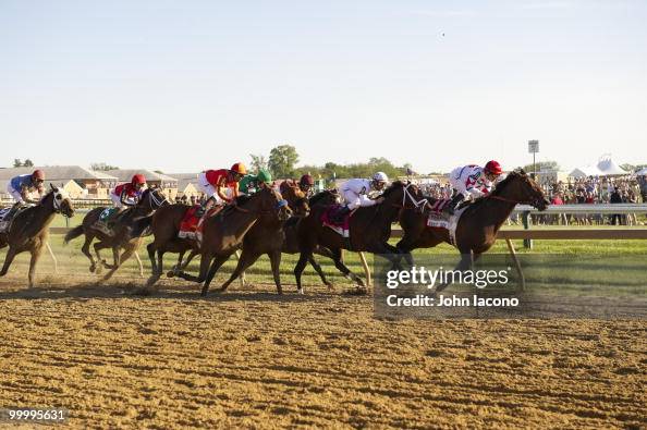 2010 Preakness Stakes