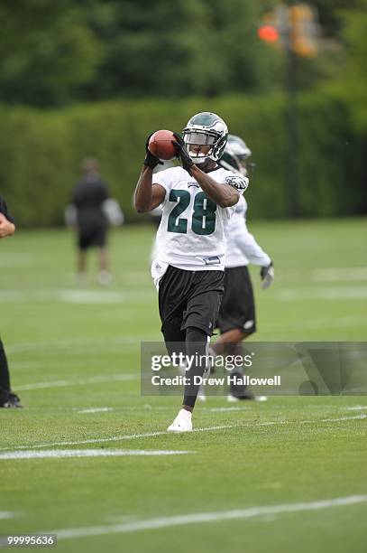 Cornerback Marlin Jackson of the Philadelphia Eagles catches a pass during practice on May 19, 2010 at the NovaCare Complex in Philadelphia,...