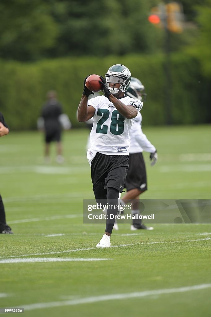 Philadelphia Eagles Rookies and Veterans OTA