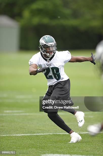 Cornerback Marlin Jackson of the Philadelphia Eagles drops back during practice on May 19, 2010 at the NovaCare Complex in Philadelphia, Pennsylvania.