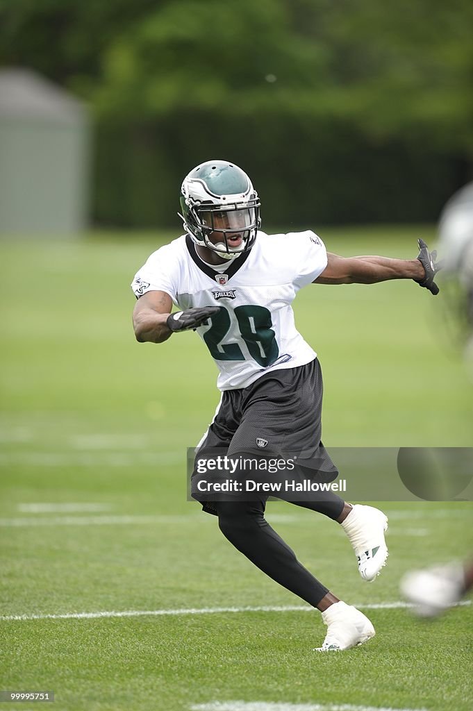 Philadelphia Eagles Rookies and Veterans OTA