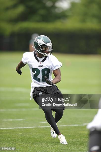 Cornerback Marlin Jackson of the Philadelphia Eagles drops back during practice on May 19, 2010 at the NovaCare Complex in Philadelphia, Pennsylvania.