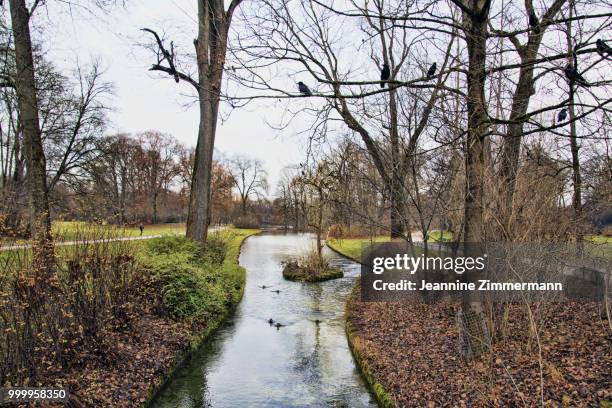 garten - garten fotografías e imágenes de stock