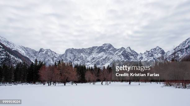 le alpi friulane laghi di fusine / treviso italy - alpi stockfoto's en -beelden
