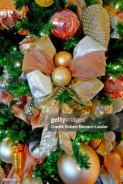 holidays study 2 - meyers stock pictures, royalty-free photos & images