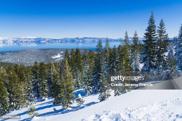 blue skies and sweeping views of the mountains around lake tahoe - francis winter 個照片及圖片檔