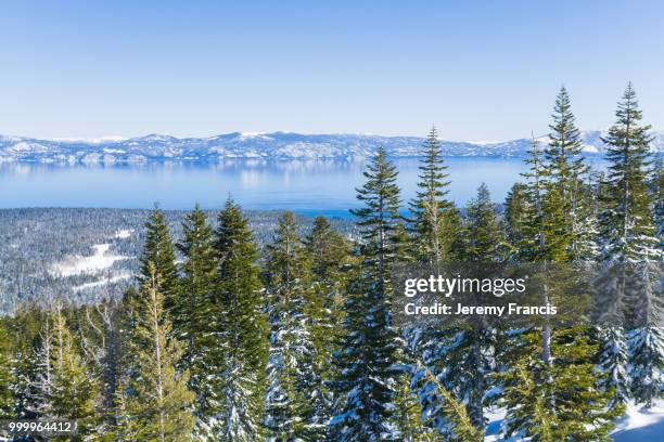 blue skies and sweeping views of the mountains around lake tahoe - francis winter 個照片及圖片檔