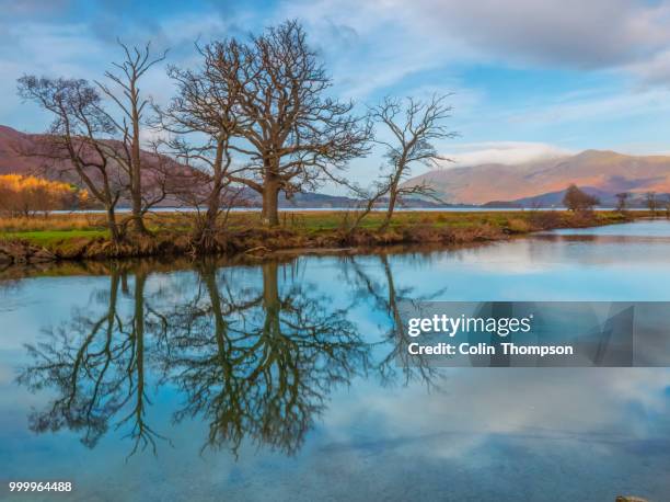 derwent reflections - thompson stock pictures, royalty-free photos & images