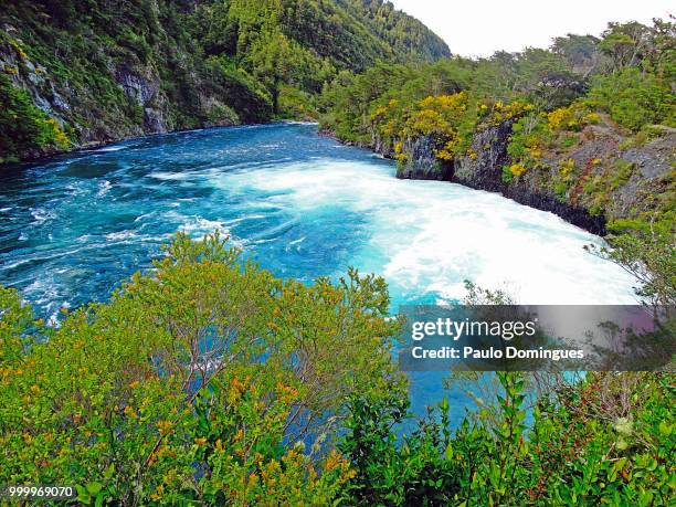 saltos de petrohue - saldos stock pictures, royalty-free photos & images