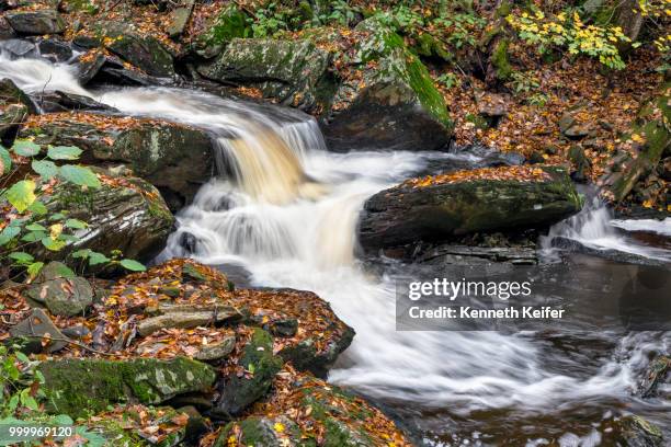 water in the glen - keiffer stock pictures, royalty-free photos & images