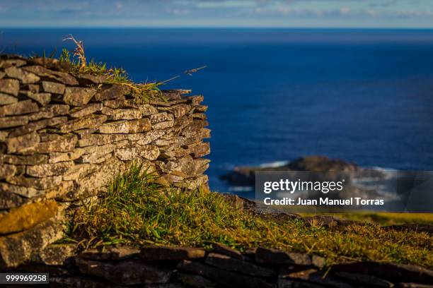 4 124 Te Rapa Stock Photos, High-Res Pictures, and Images - Getty Images