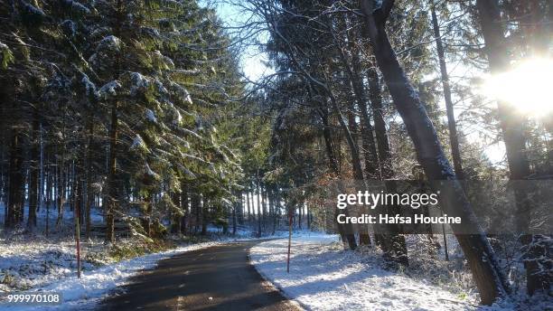 weg im winter am land landschaft im wald - weg 個照片及圖片檔