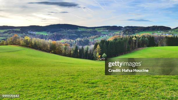 landschaft natur am land - natuur stock pictures, royalty-free photos & images