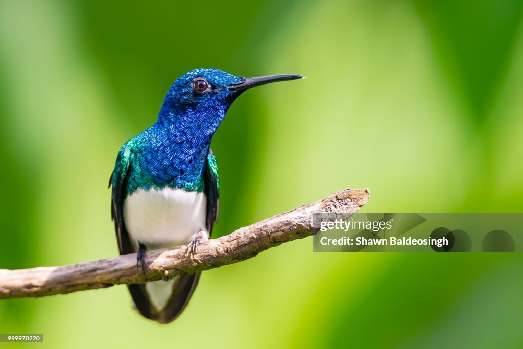 Harsh Stares and Hard Light