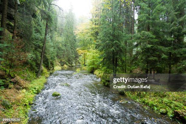 czech switzerland iii - czech switzerland stock pictures, royalty-free photos & images