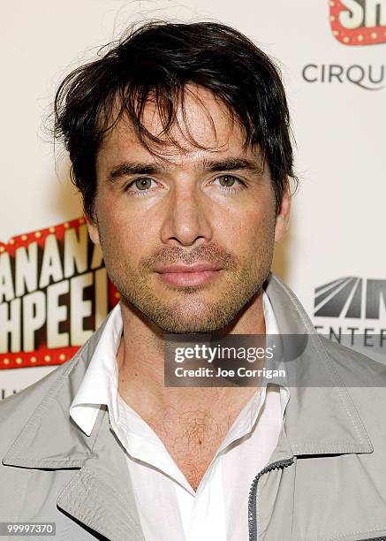 Actor Matthew Settle attends the opening night of Cirque du Soleil's ''Banana Shpeel'' at the Beacon Theatre on May 19, 2010 in New York City.