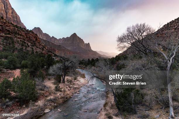 zion - breien stock pictures, royalty-free photos & images