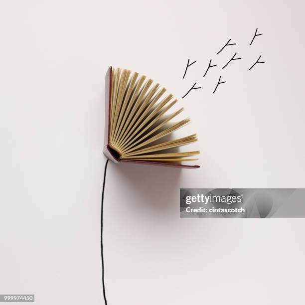 conceptual dandelion seeds blowing from a dandelion clock - art books stock-grafiken, -clipart, -cartoons und -symbole