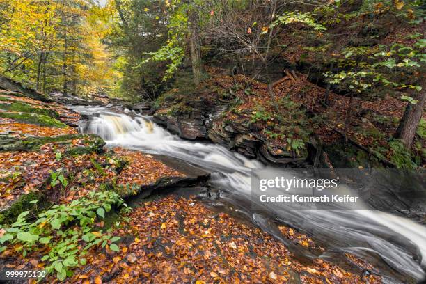 autumn at conestoga falls - keiffer stock pictures, royalty-free photos & images