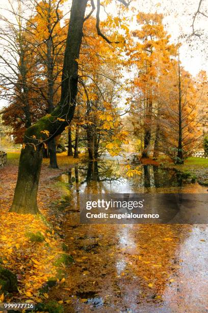 sempione park in autumn, milan, italy - sempione stockfoto's en -beelden