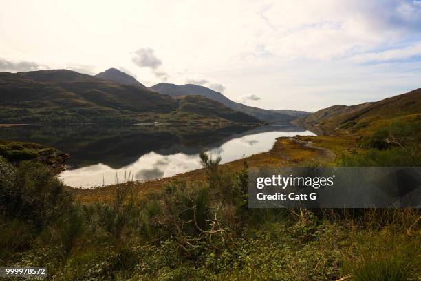isle of mull - catt bildbanksfoton och bilder