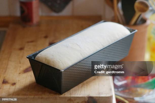 loaf of raw bread dough in a baking tin - loaf stock pictures, royalty-free photos & images