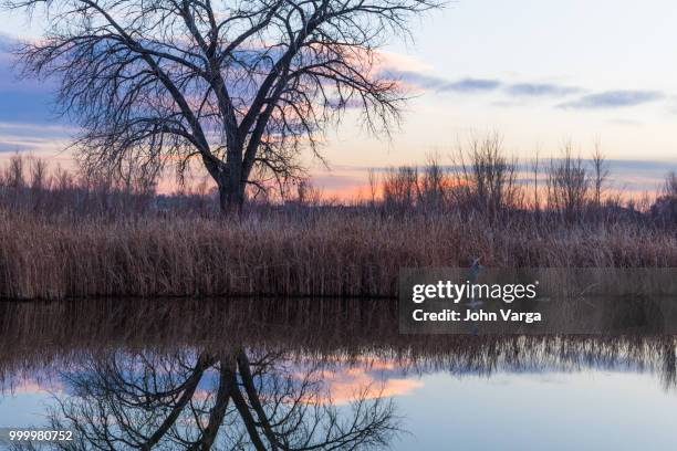 tai chi - tai stock pictures, royalty-free photos & images