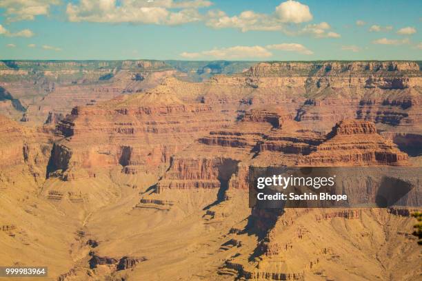 parched beauty - sachin stock pictures, royalty-free photos & images